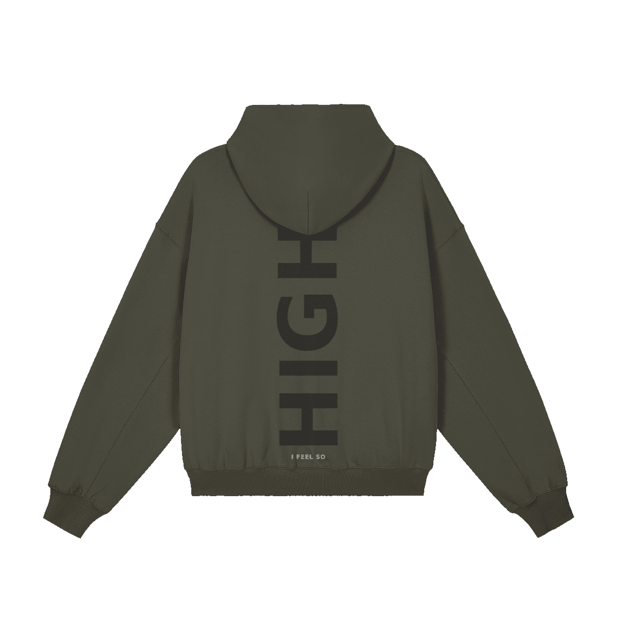 GUSSI When I’m Low hoodie in charcoal from the back, HIGH set down the spine